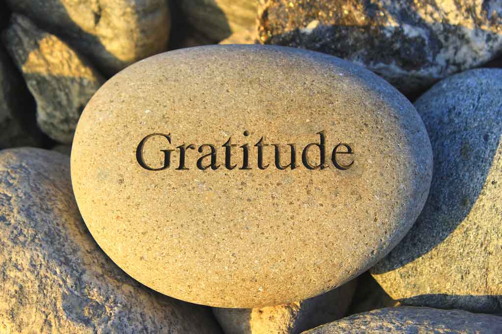 The Science of Gratitude: How Thankfulness Can Improve Your Health and Happiness