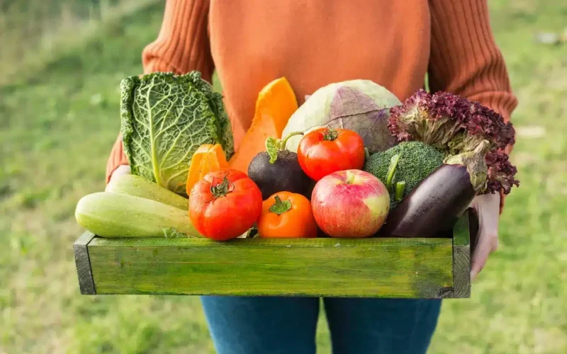A person in an orange sweater holds a green wooden box filled with assorted fresh vegetables and fruits, including cabbage, pumpkin, tomatoes, apples, and eggplant.