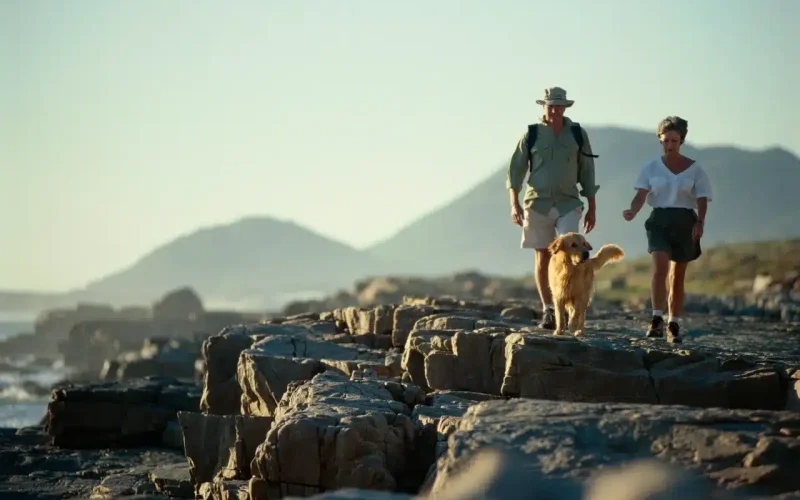 Two adults and a golden retriever walk on rocky terrain near the ocean with mountains in the background under a clear sky.