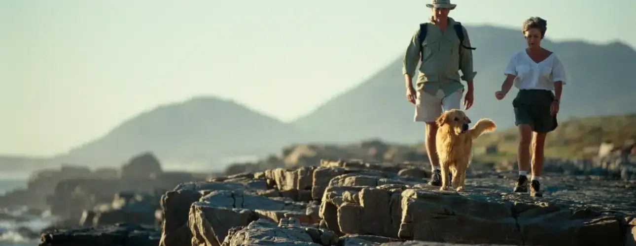 Two adults and a golden retriever walk on rocky terrain near the ocean with mountains in the background under a clear sky.