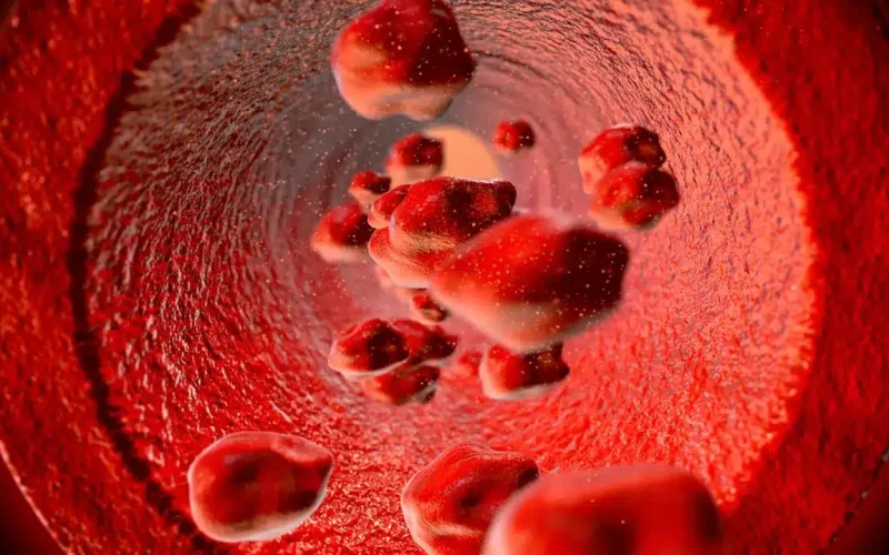 Digital illustration showing red blood cells flowing through a blood vessel.