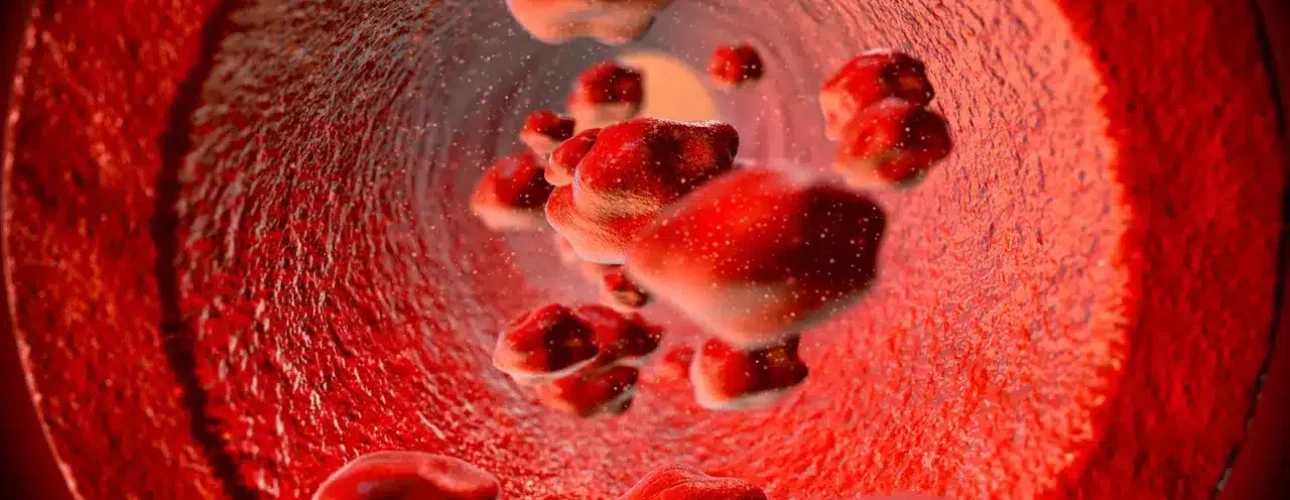 Digital illustration showing red blood cells flowing through a blood vessel.