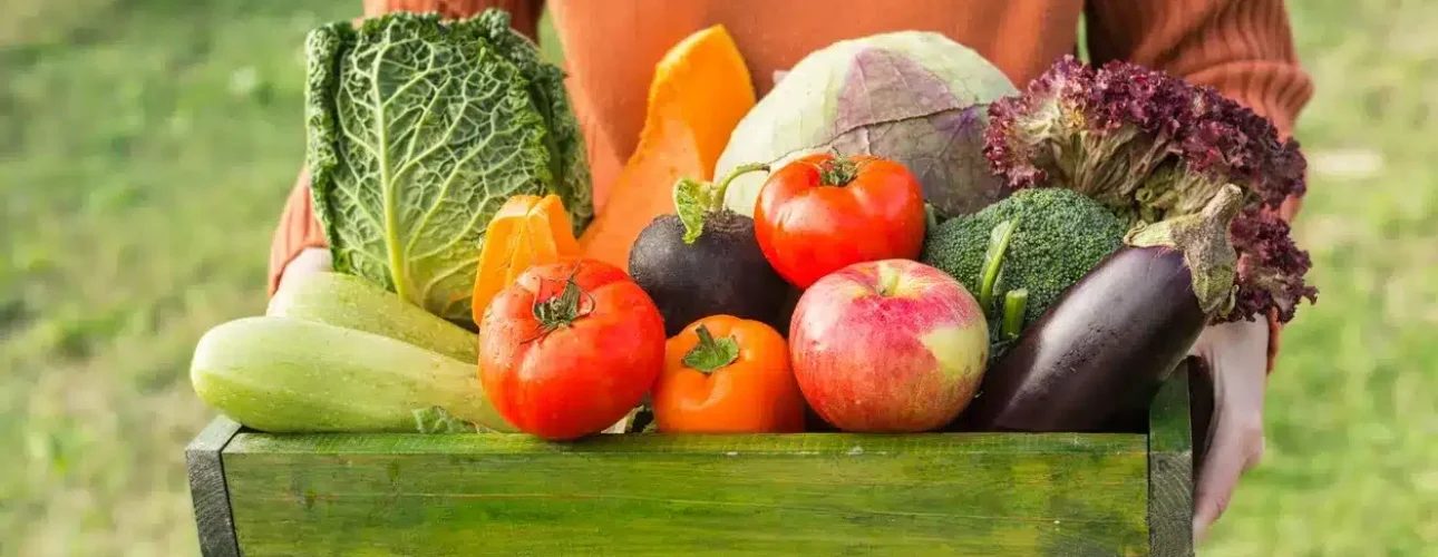 Person holding a green wooden crate filled with assorted fresh vegetables and fruits, including cabbage, squash, tomatoes, apples, eggplant, and lettuce.
