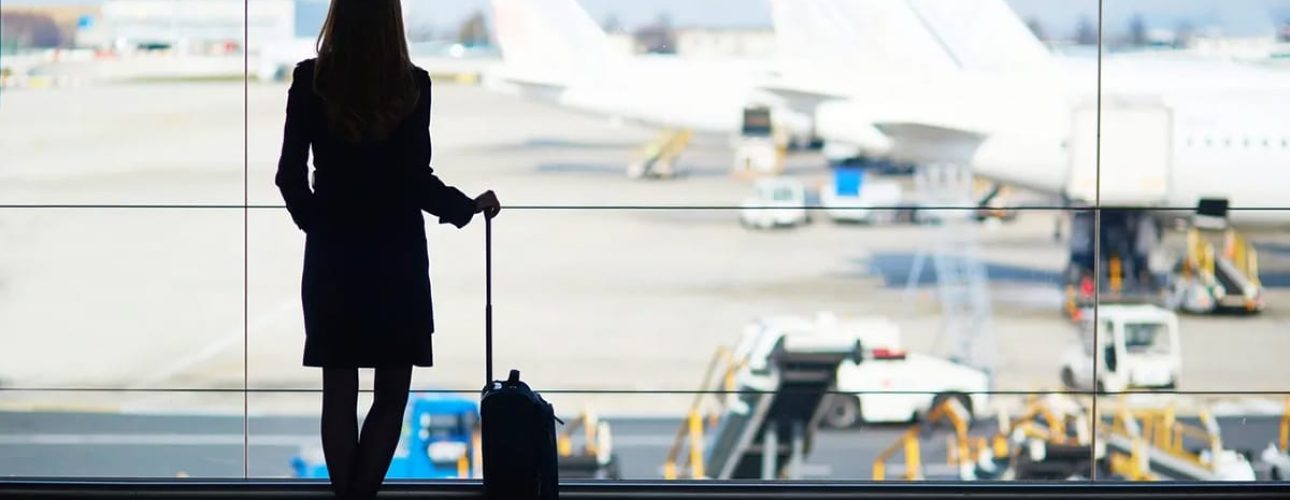 A person with a suitcase stands in an airport terminal, looking out the window at airplanes parked on the tarmac.